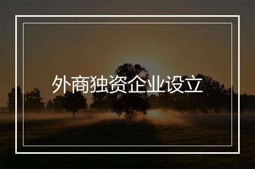 外商独资企业设立