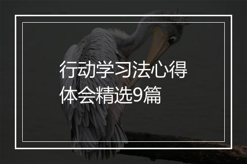 行动学习法心得体会精选9篇