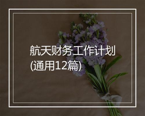 航天财务工作计划(通用12篇)