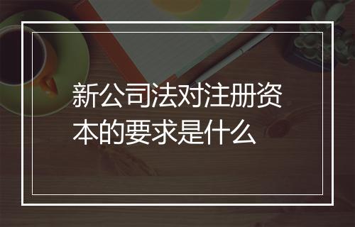 新公司法对注册资本的要求是什么