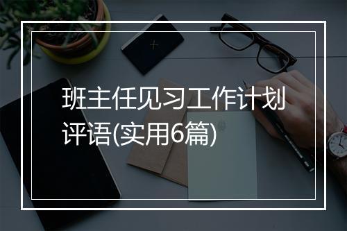班主任见习工作计划评语(实用6篇)