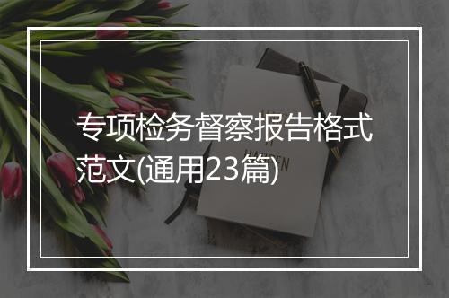 专项检务督察报告格式范文(通用23篇)