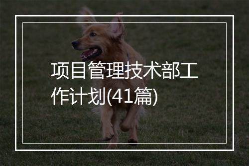 项目管理技术部工作计划(41篇)