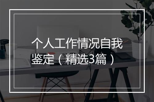 个人工作情况自我鉴定（精选3篇）