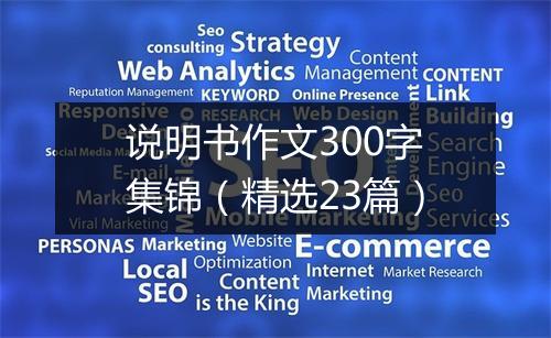 说明书作文300字集锦（精选23篇）
