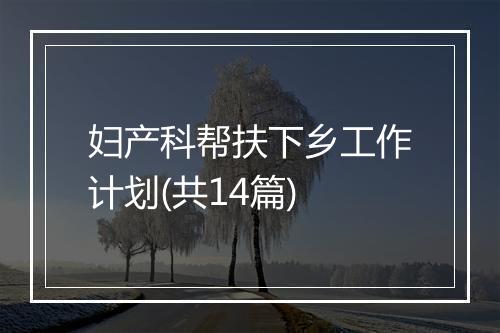 妇产科帮扶下乡工作计划(共14篇)
