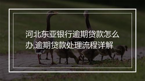 河北东亚银行逾期贷款怎么办,逾期贷款处理流程详解