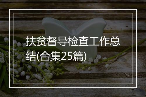 扶贫督导检查工作总结(合集25篇)