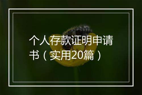 个人存款证明申请书（实用20篇）