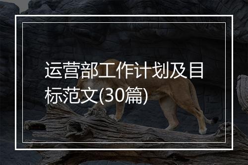 运营部工作计划及目标范文(30篇)