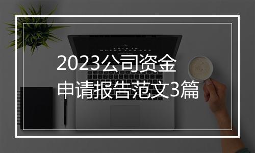 2023公司资金申请报告范文3篇
