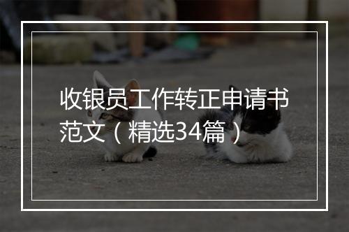 收银员工作转正申请书范文（精选34篇）
