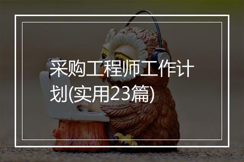 采购工程师工作计划(实用23篇)