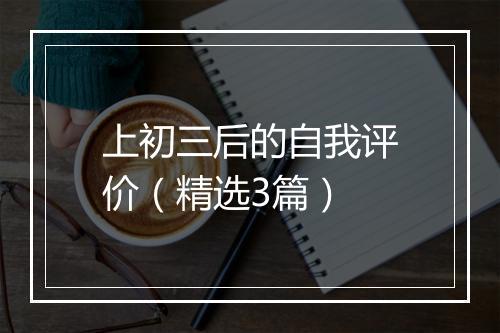 上初三后的自我评价（精选3篇）