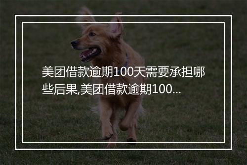 美团借款逾期100天需要承担哪些后果,美团借款逾期100天如何解决