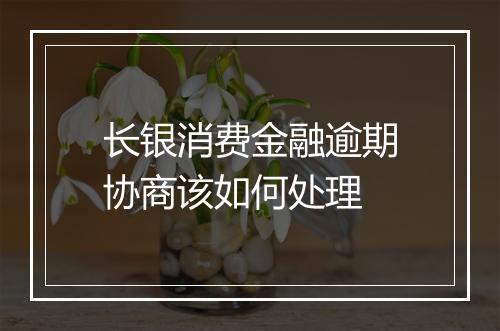 长银消费金融逾期协商该如何处理