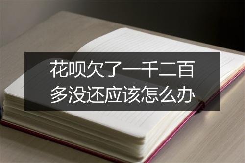花呗欠了一千二百多没还应该怎么办