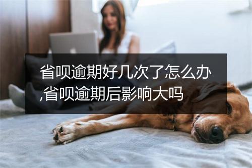省呗逾期好几次了怎么办,省呗逾期后影响大吗