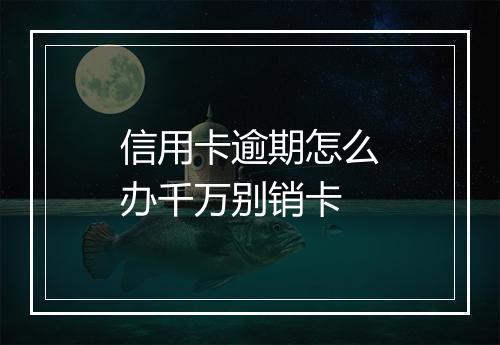 信用卡逾期怎么办千万别销卡