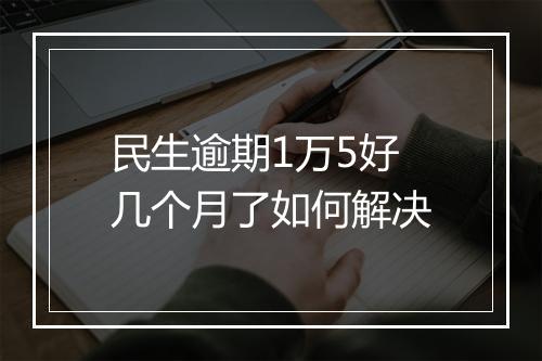 民生逾期1万5好几个月了如何解决