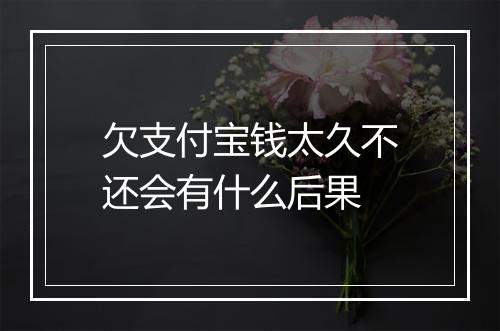 欠支付宝钱太久不还会有什么后果