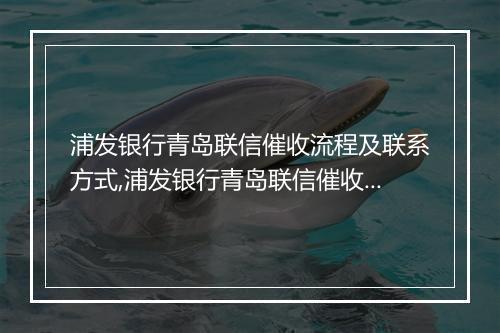 浦发银行青岛联信催收流程及联系方式,浦发银行青岛联信催收团队介绍
