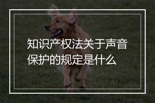 知识产权法关于声音保护的规定是什么