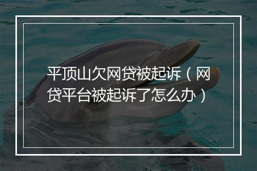 平顶山欠网贷被起诉（网贷平台被起诉了怎么办）