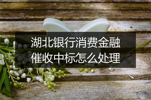 湖北银行消费金融催收中标怎么处理
