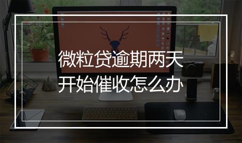 微粒贷逾期两天开始催收怎么办