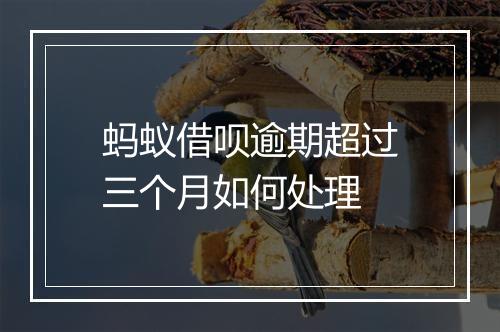 蚂蚁借呗逾期超过三个月如何处理