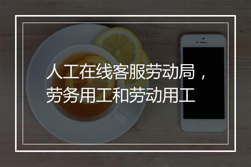 人工在线客服劳动局，劳务用工和劳动用工