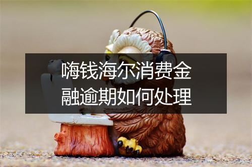 嗨钱海尔消费金融逾期如何处理