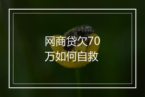 网商贷欠70万如何自救