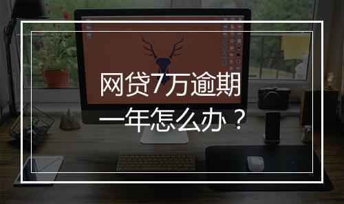 网贷7万逾期一年怎么办？