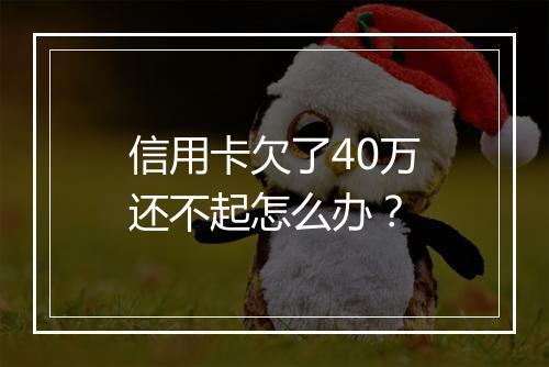 信用卡欠了40万还不起怎么办？