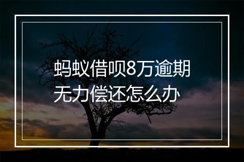 蚂蚁借呗8万逾期无力偿还怎么办