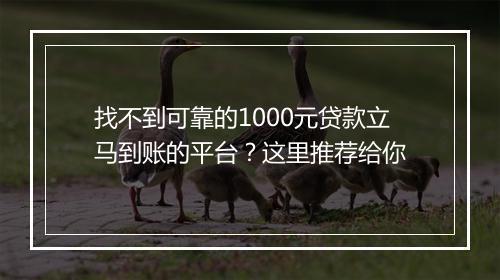 找不到可靠的1000元贷款立马到账的平台？这里推荐给你