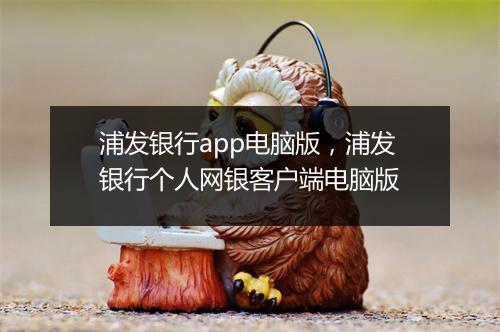 浦发银行app电脑版，浦发银行个人网银客户端电脑版