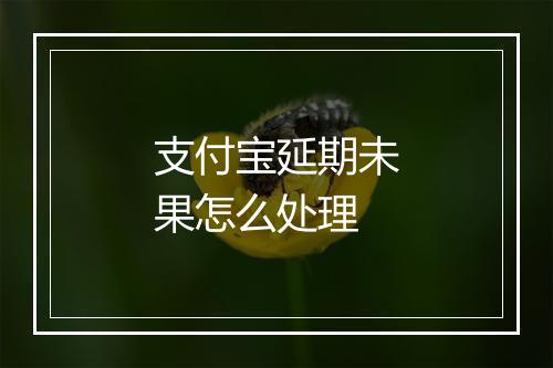 支付宝延期未果怎么处理