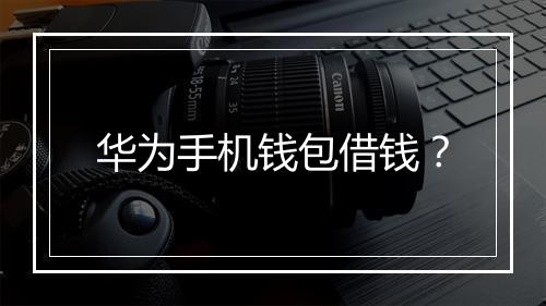华为手机钱包借钱？