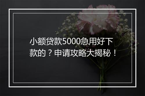 小额贷款5000急用好下款的？申请攻略大揭秘！