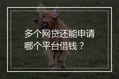 多个网贷还能申请哪个平台借钱？