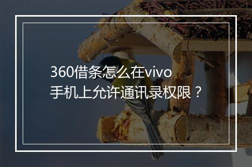 360借条怎么在vivo手机上允许通讯录权限？