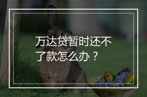 万达贷暂时还不了款怎么办？