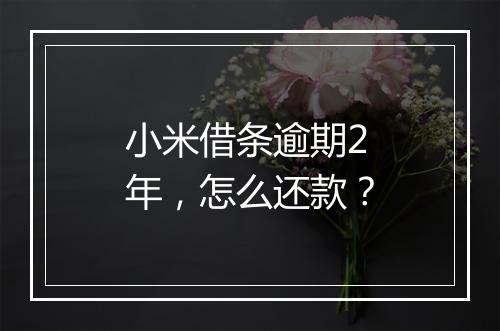 小米借条逾期2年，怎么还款？