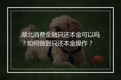 湖北消费金融只还本金可以吗？如何做到只还本金操作？