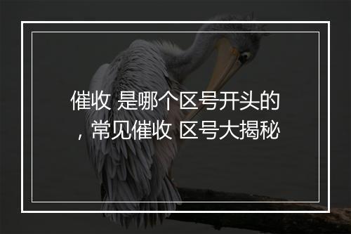 催收 是哪个区号开头的，常见催收 区号大揭秘