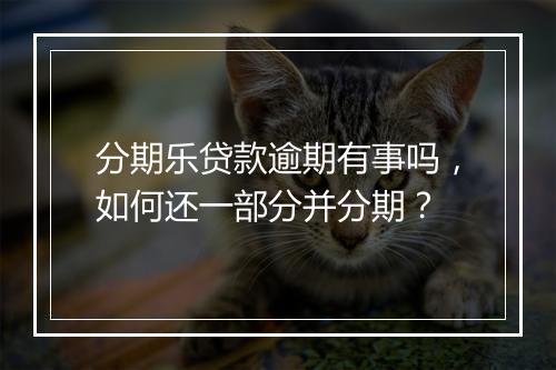 分期乐贷款逾期有事吗，如何还一部分并分期？