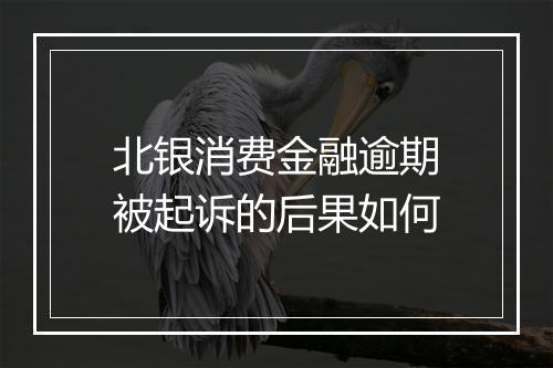 北银消费金融逾期被起诉的后果如何